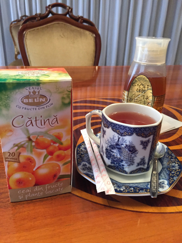 国際芸術家センター「大使館でお茶を第8回ルーマニア」